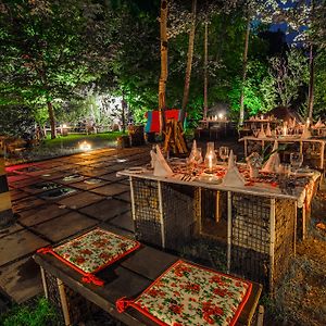 Solang Valley Resort